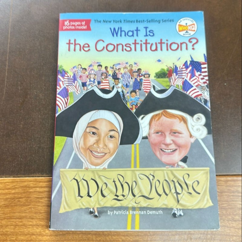What is the constitution