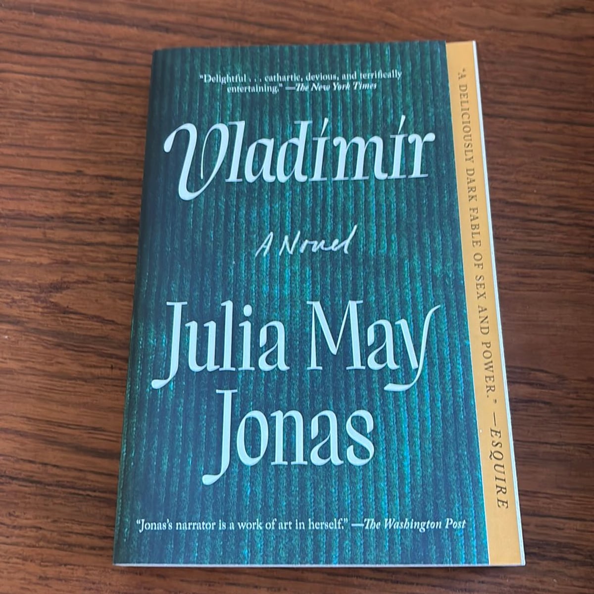 Vladimir by Julia May Jonas, Paperback Pangobooks