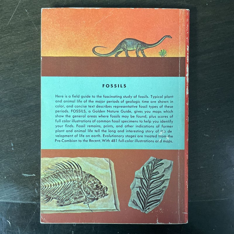 Fossils: A Guide To Prehistoric Life