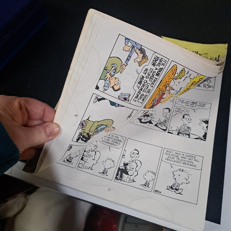 The Essential Calvin and Hobbes