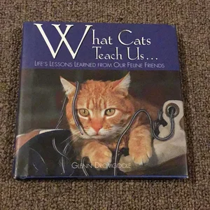 What Cats Teach Us