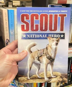 Scout: National Hero