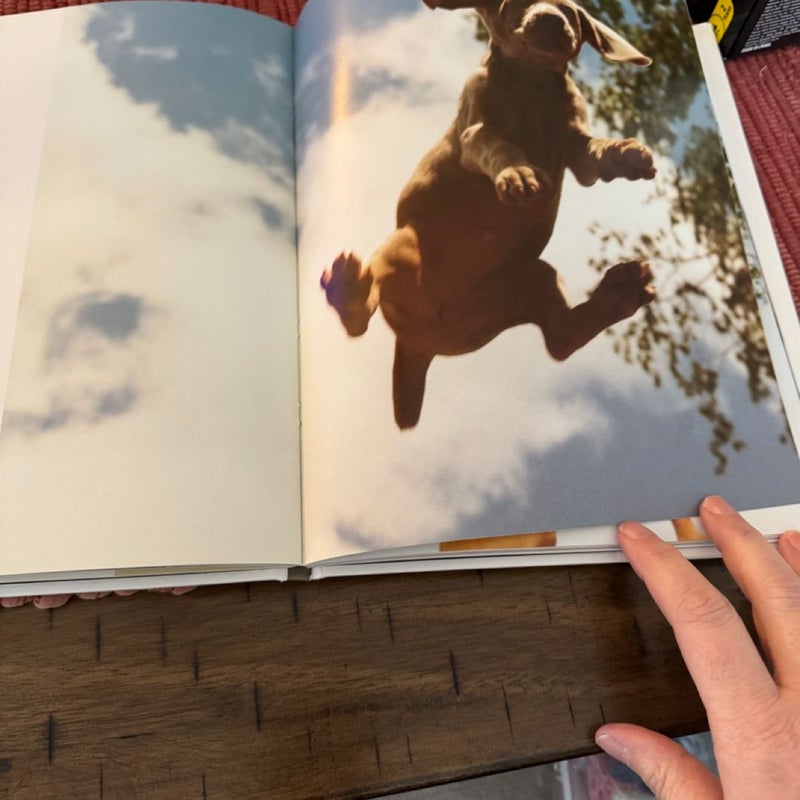 William Wegman Puppies