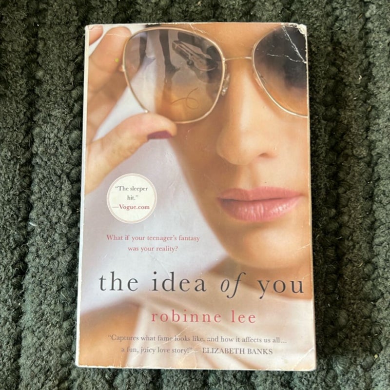 The Idea of You