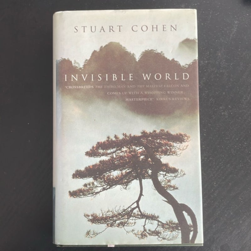 Invisible World