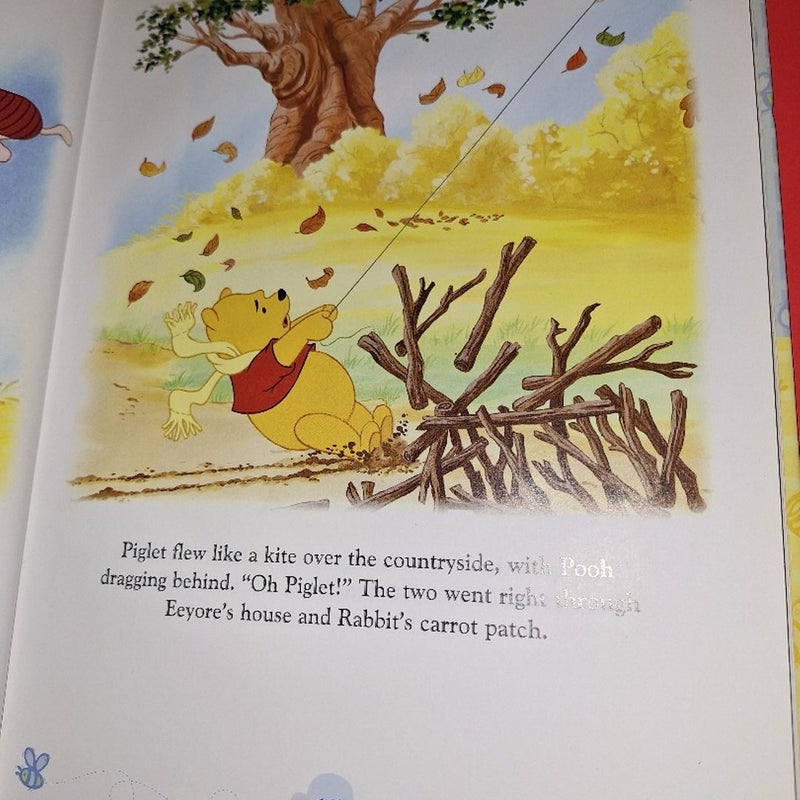 Winnie the pooh storybook