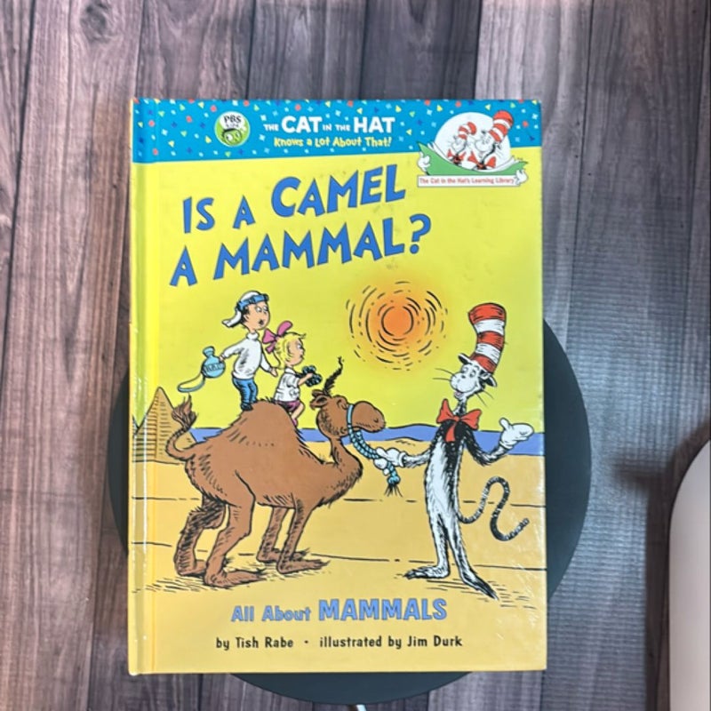 Is a Camel a Mammal?