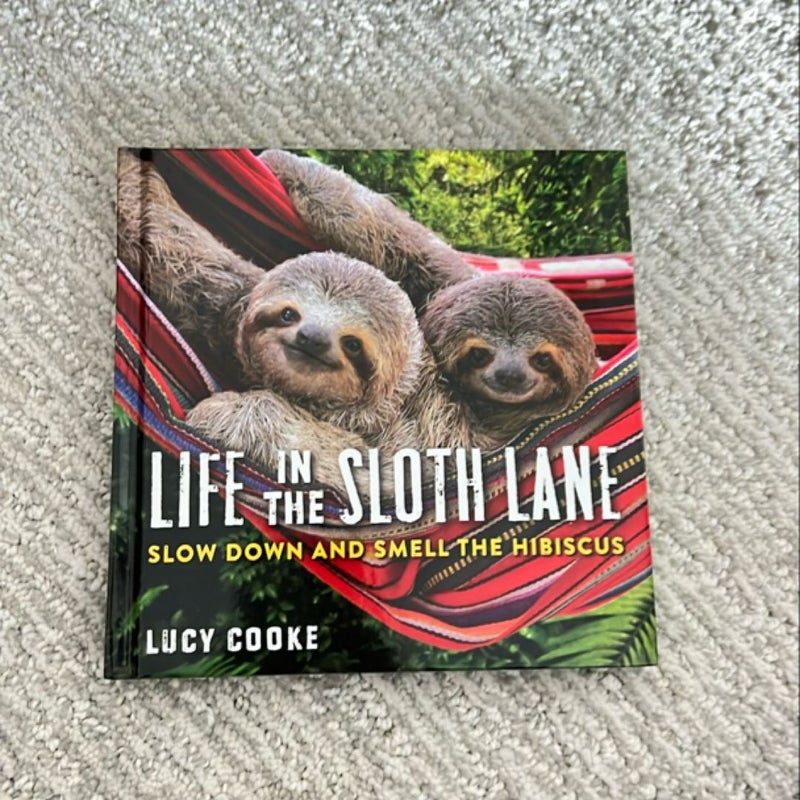 Life in the Sloth Lane