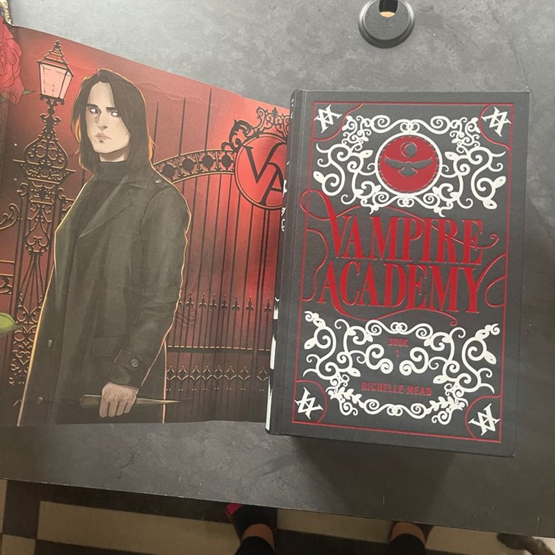 Vampire Academy Fairyloot by Richelle Mead, Hardcover Pangobooks