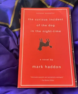 The Curious Incident of the Dog in the Night-Time