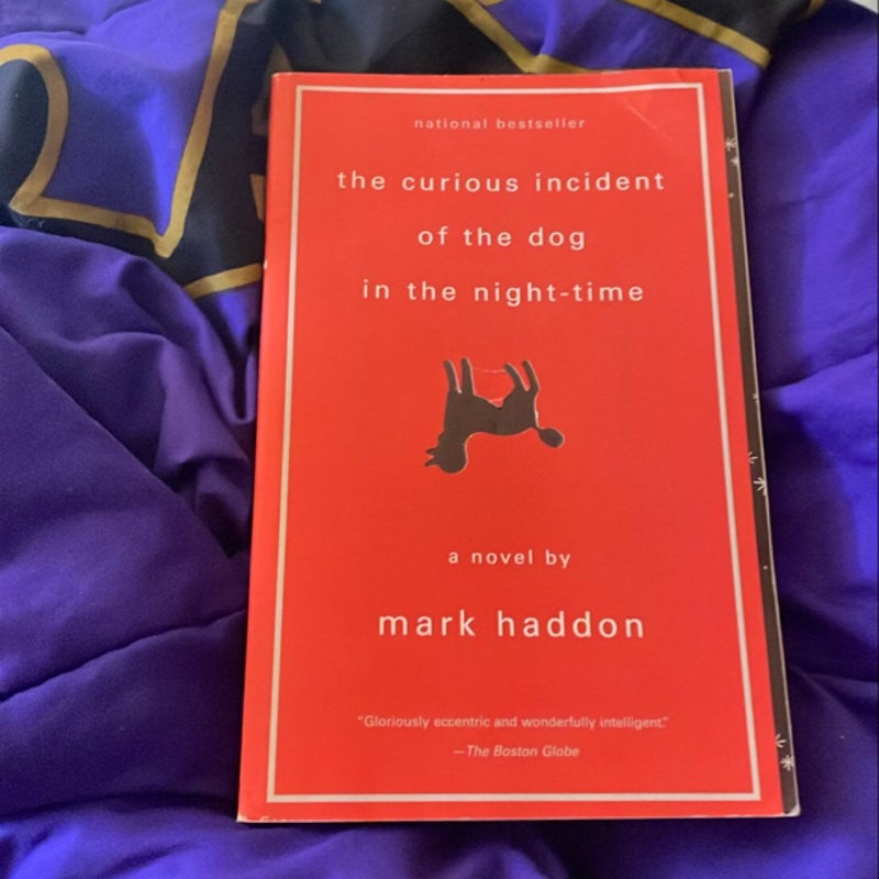 The Curious Incident of the Dog in the Night-Time