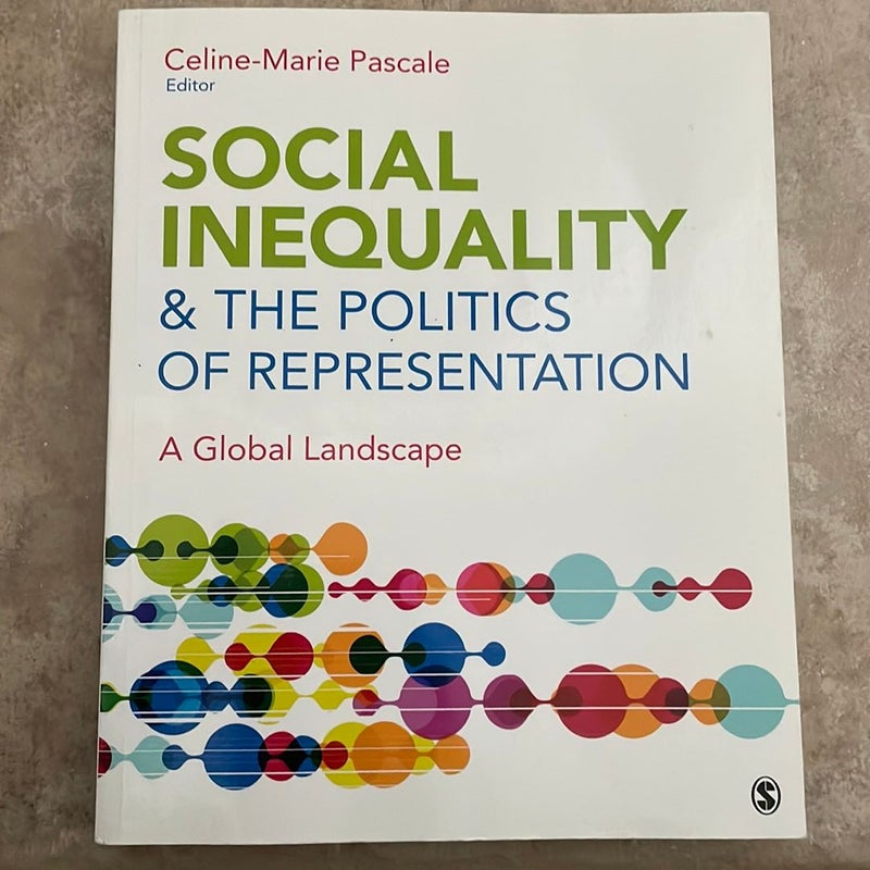 Social Inequality and the Politics of Representation