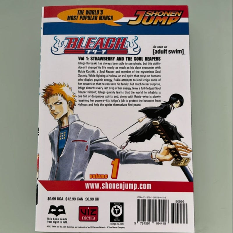 Bleach, Vol. 1