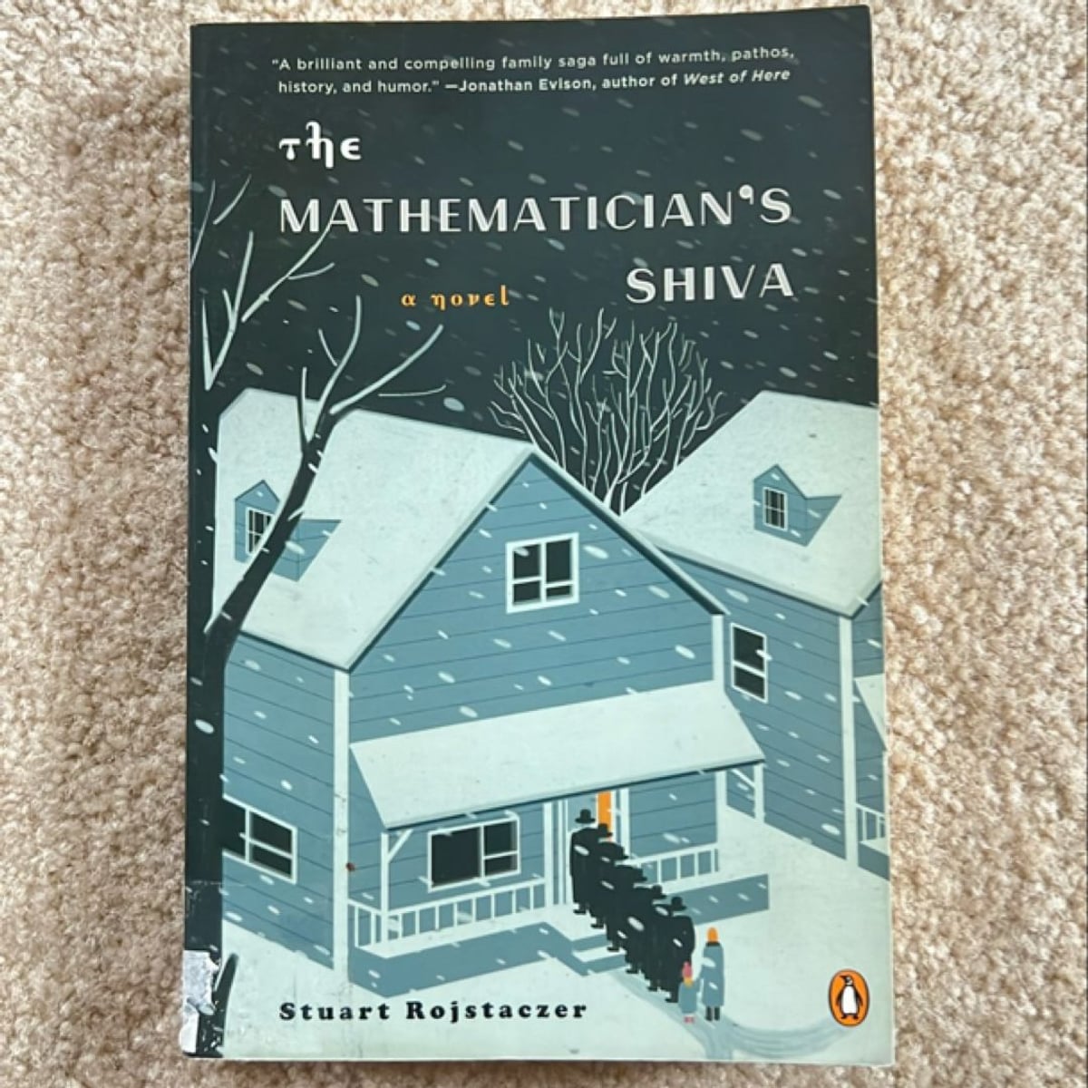 The Mathematician's Shiva by Stuart Rojstaczer