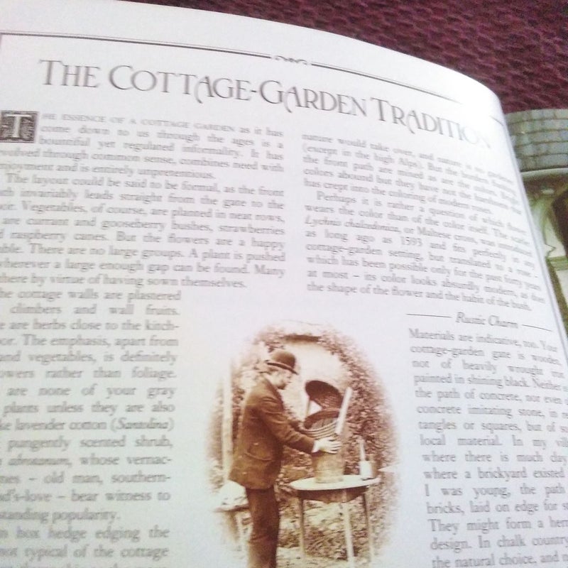 The Cottage Garden