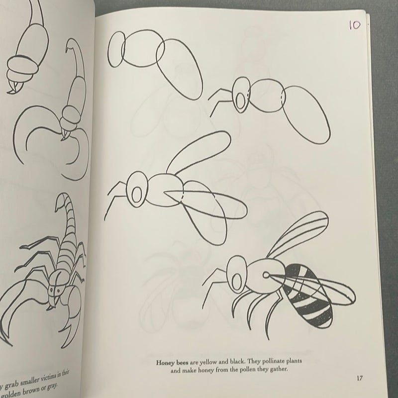 How to Draw Insects 
