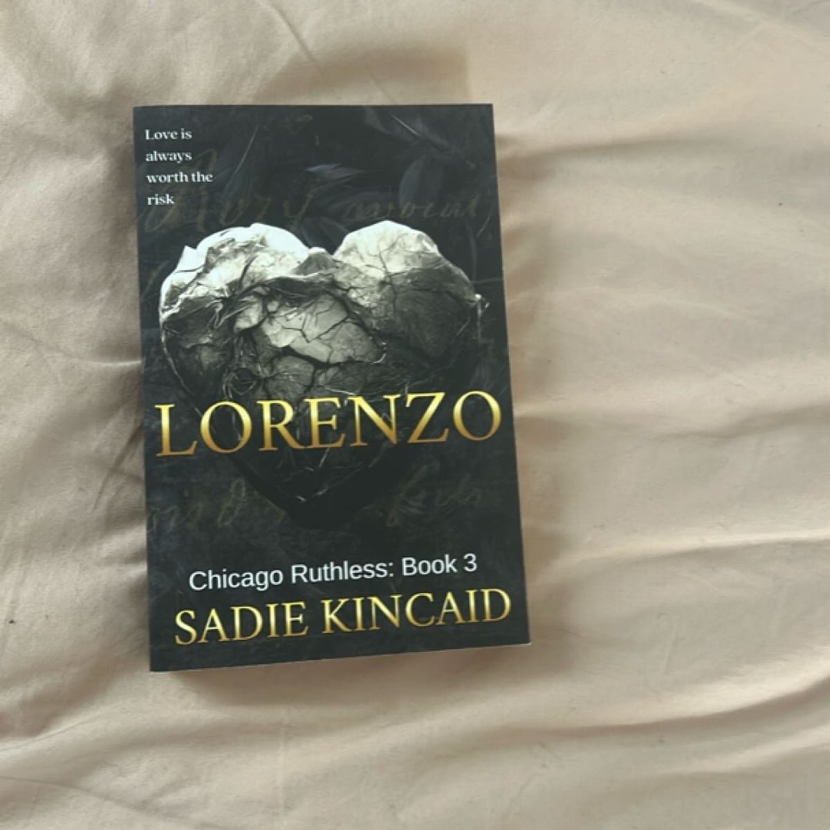 Lorenzo: Discreet Special Edition: A grumpy/ sunshine romance (Chicago ...