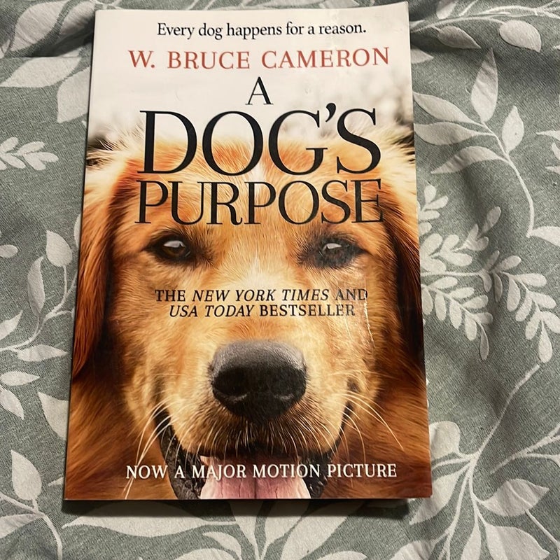 A Dogs Purpose 