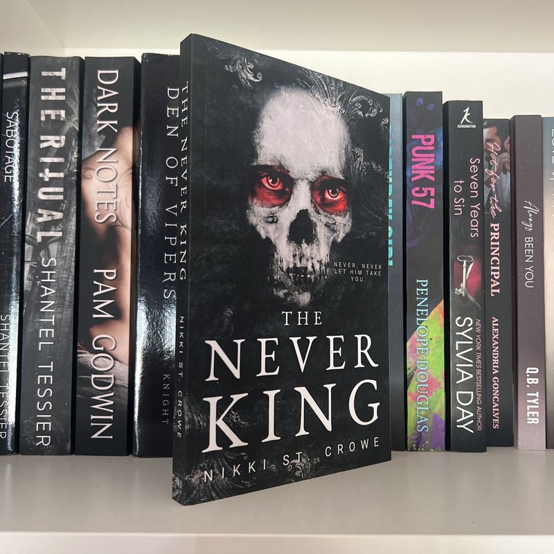 The Never King ebook Tome 01 Cruels Garons perdus eBook de Nikki