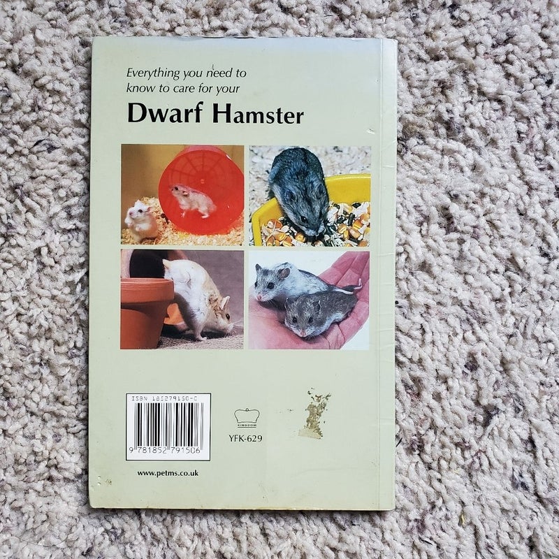 How to Care for Your Dwarf Hamster