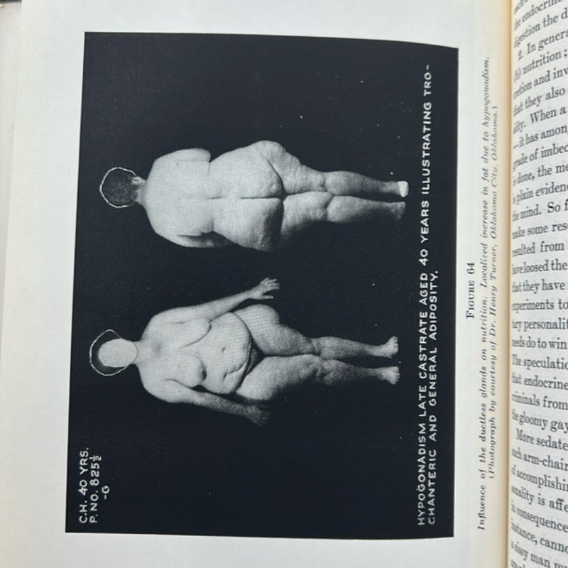 The Human Body