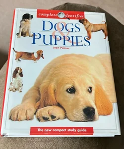 Dogs and Puppies