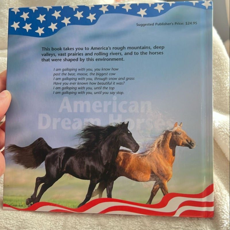 American Dream Horses