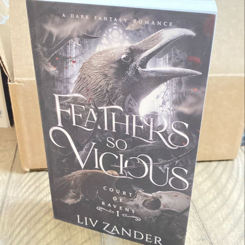 Feathers So Vicious: a Dark Fantasy Romance