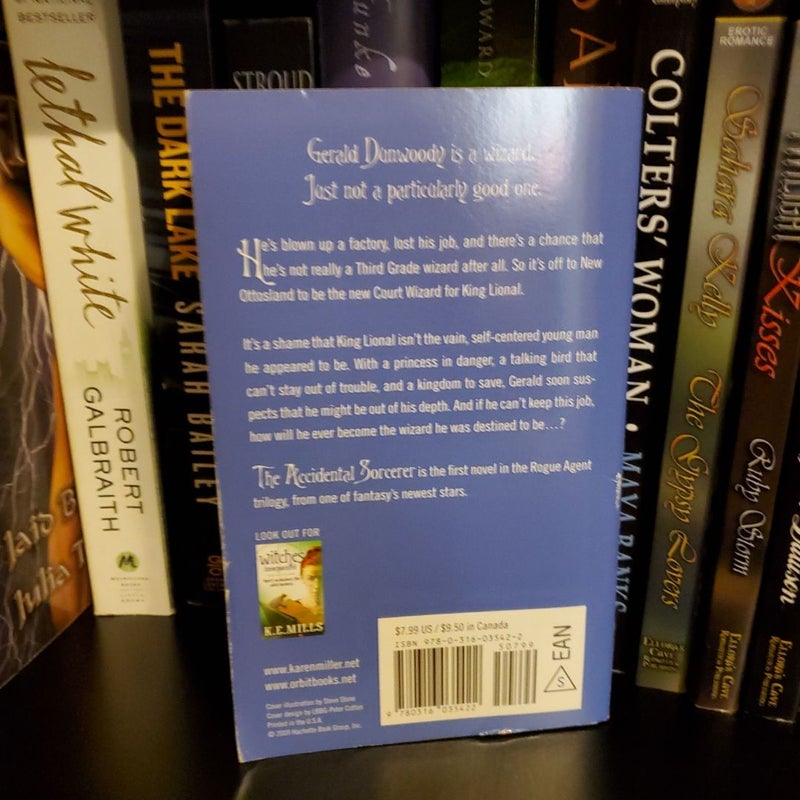 The Accidental Sorcerer