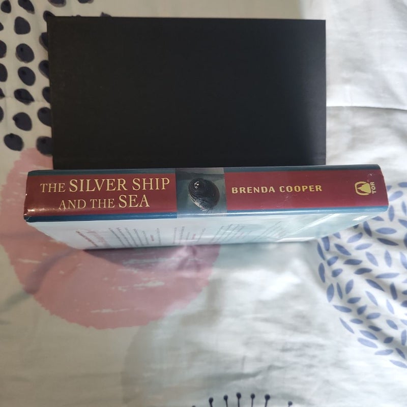 The Silver Ship and the Sea