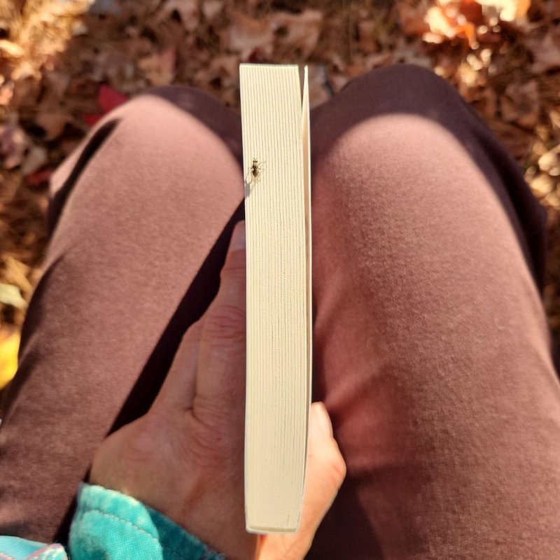 How to Pray the Shaman's Way