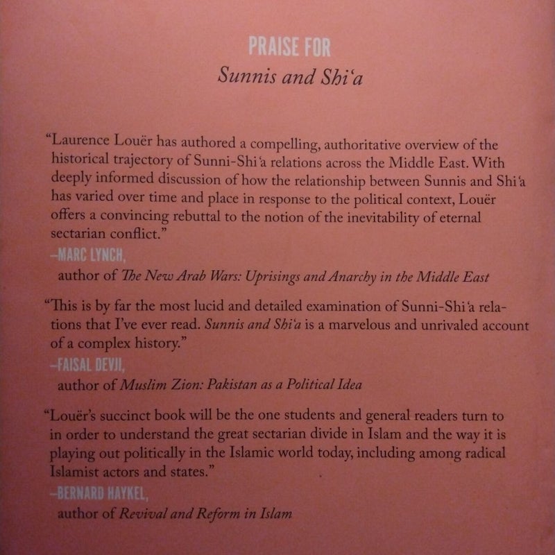 Sunnis and Shi'a