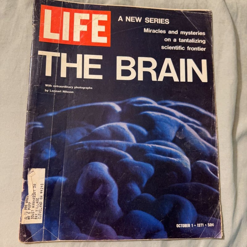 LIFE The Brain 