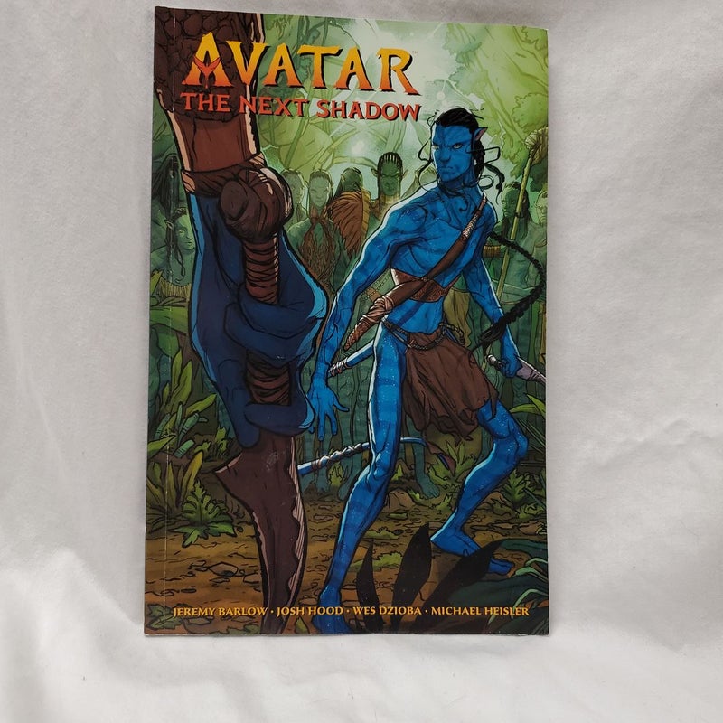 Avatar: the Next Shadow