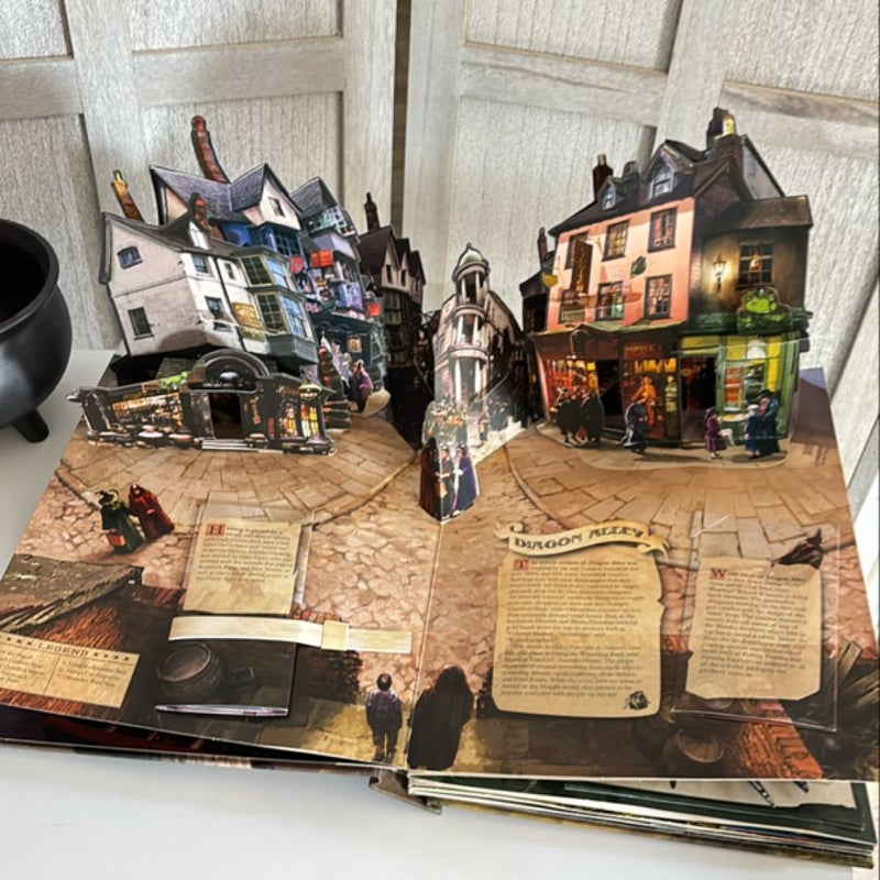 Harry Potter: a Pop-Up Book