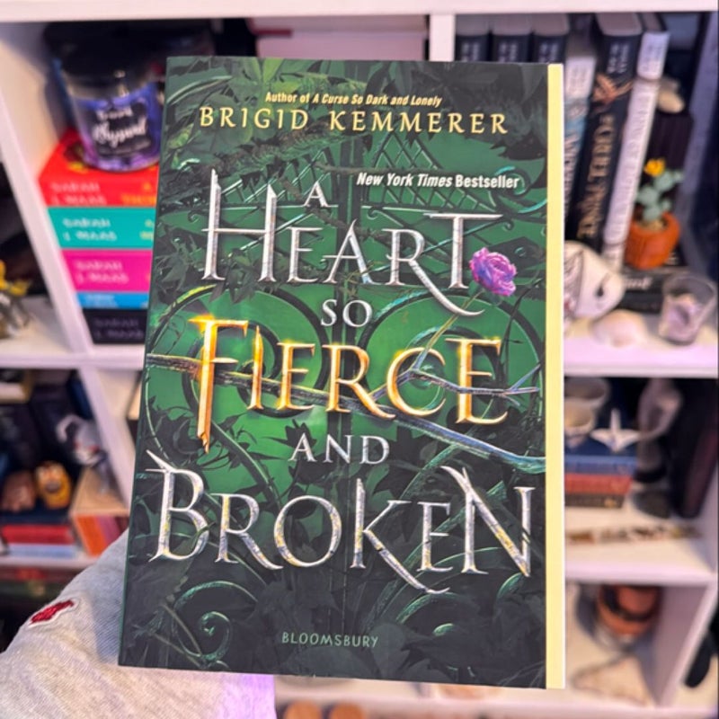 A Heart So Fierce and Broken
