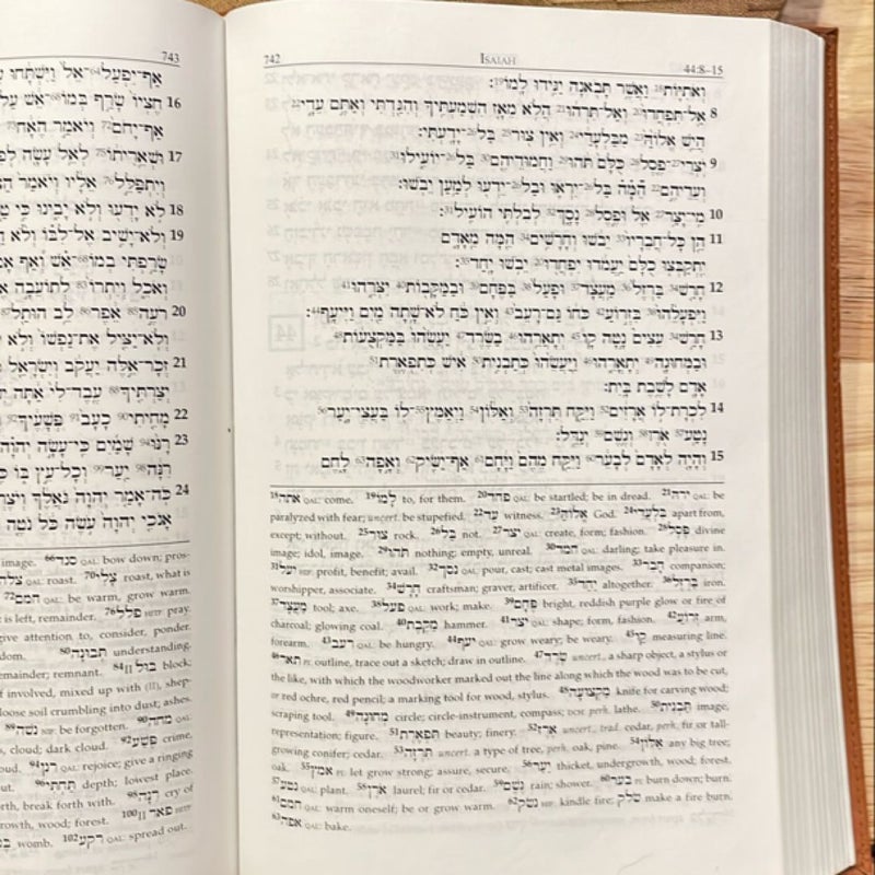 Reader's Hebrew Bible