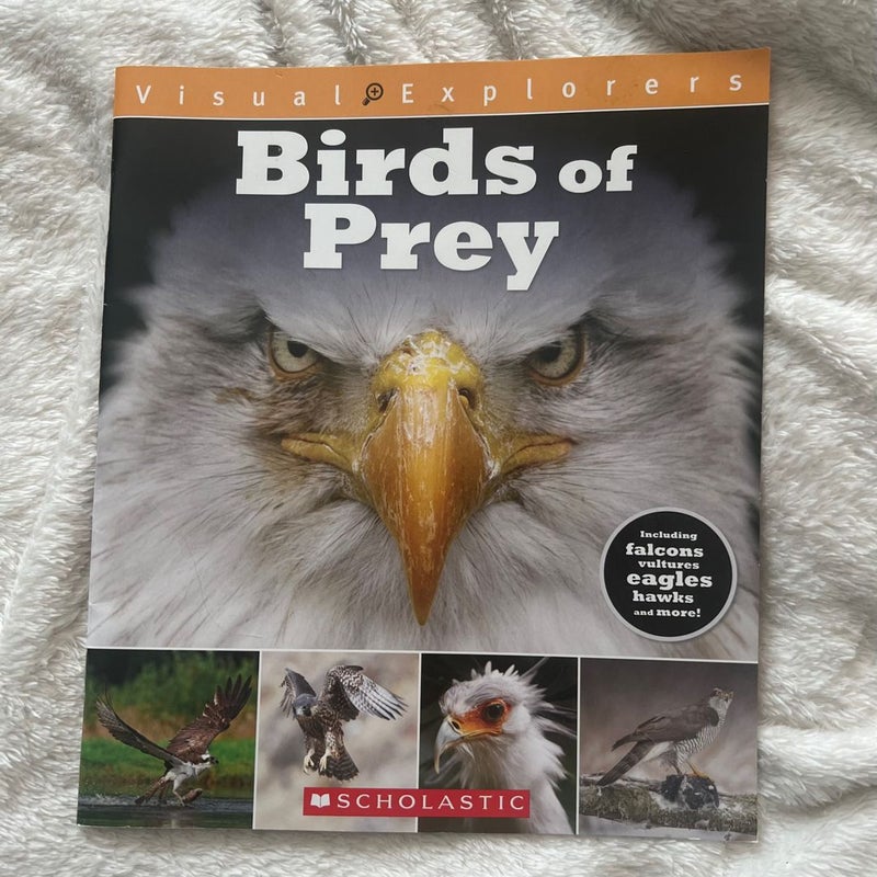 Bizarre Birds (Scholastic Reader, Level 2)