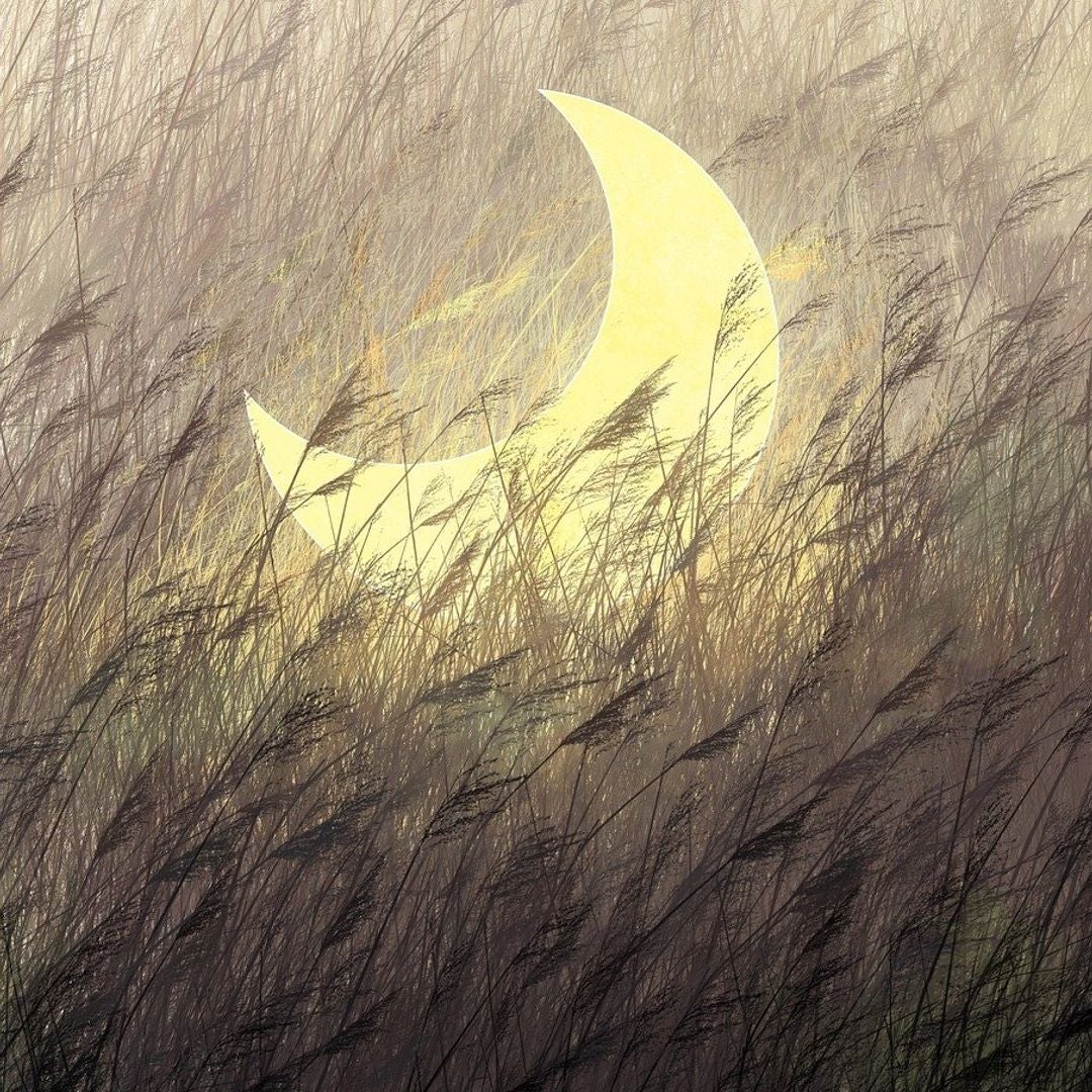 Paper Moon Books