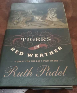 Tigers in Red Weather