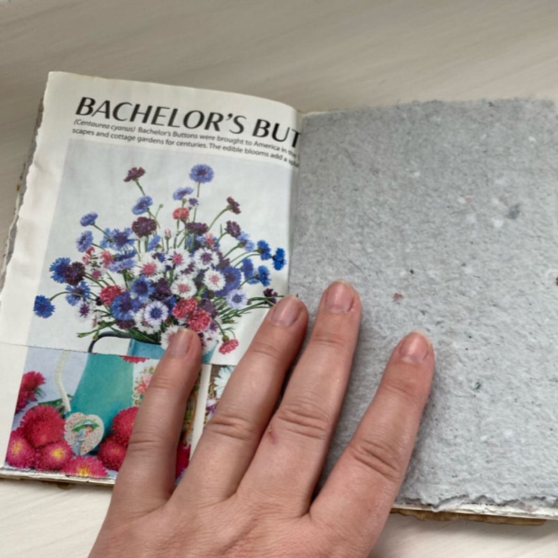 Art Journal