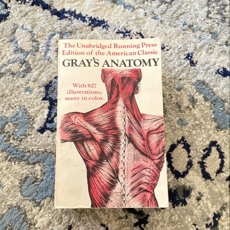 Gray's Anatomy