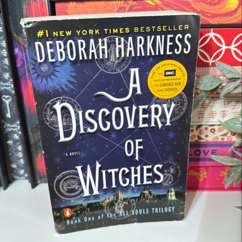 A Discovery of Witches