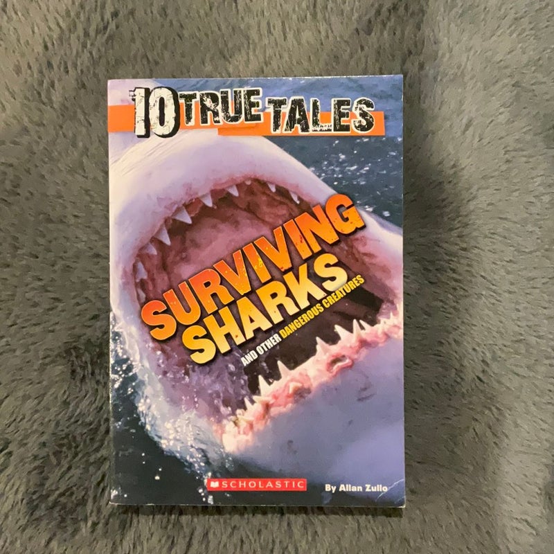 Surviving Sharks (10 True Tales)