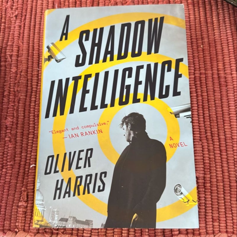 A Shadow Intelligence