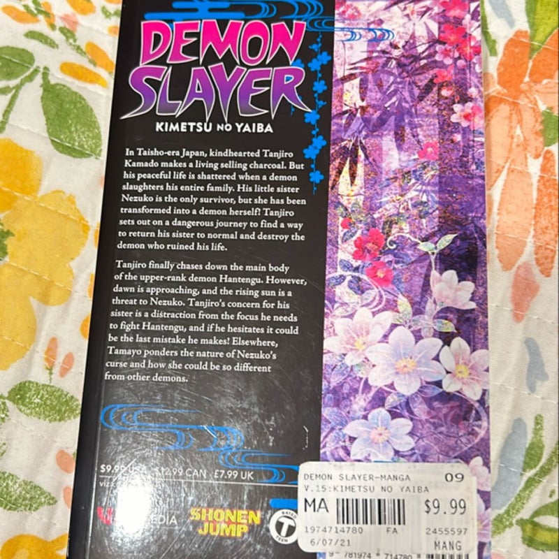 Demon slayer volume 15