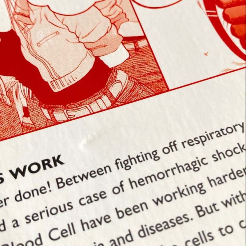 Cells at Work! 4