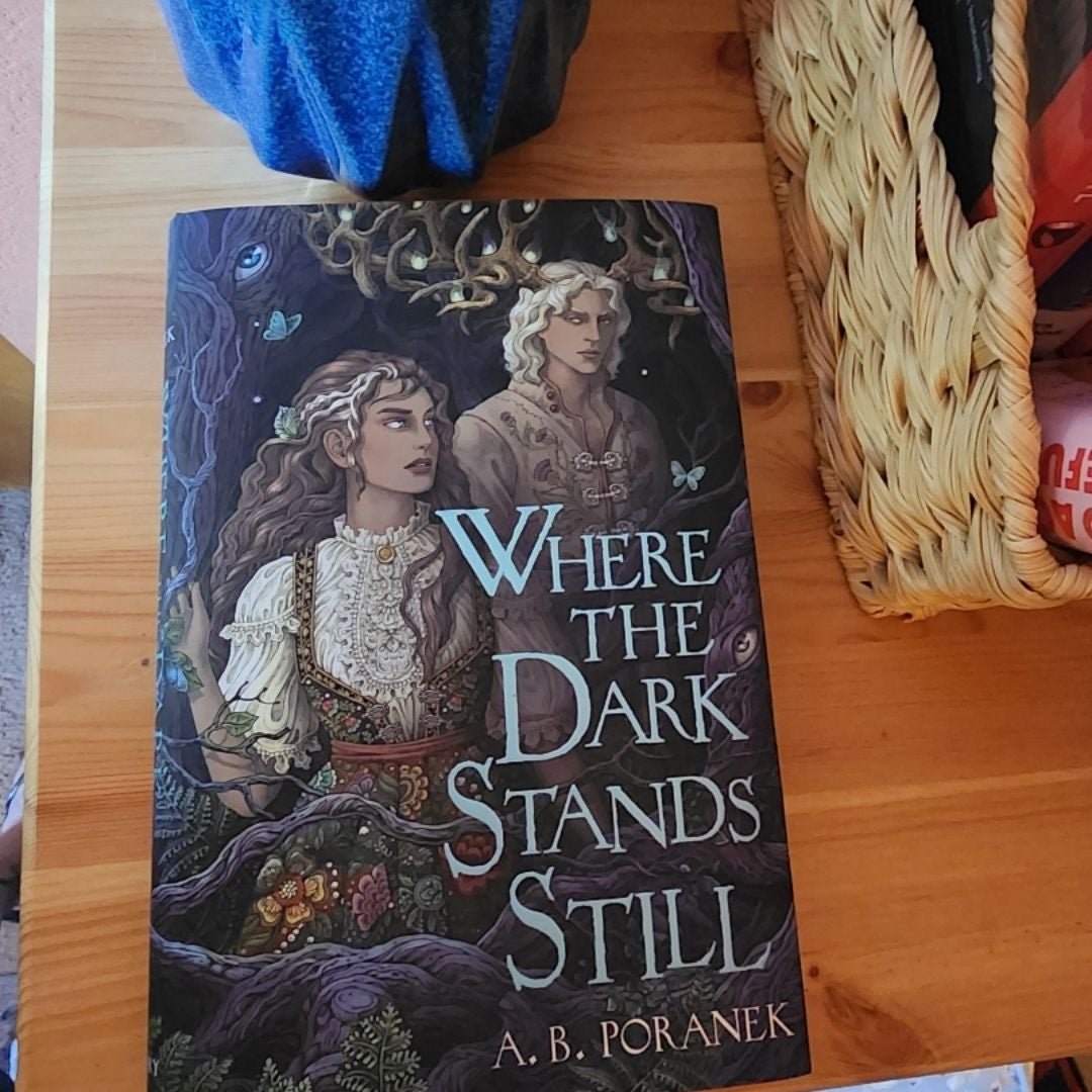 Where the Dark Stands Still