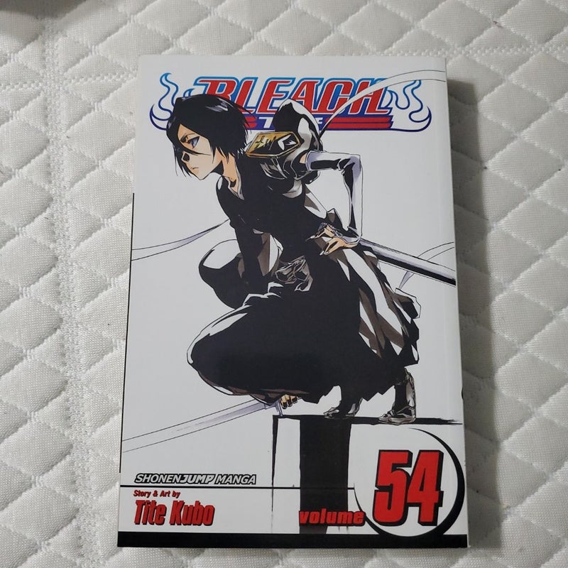 Bleach, Vol. 54