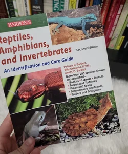 Reptiles, Amphibians. And Invertibrates
